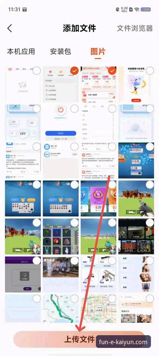 资深用户分享：开云体育app iOS下载与使用心得，从安装到实战的完整经验